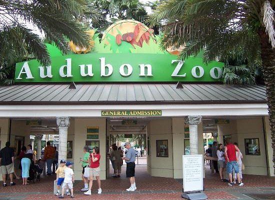 Audubon Zoo