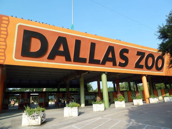 Dallas Zoo