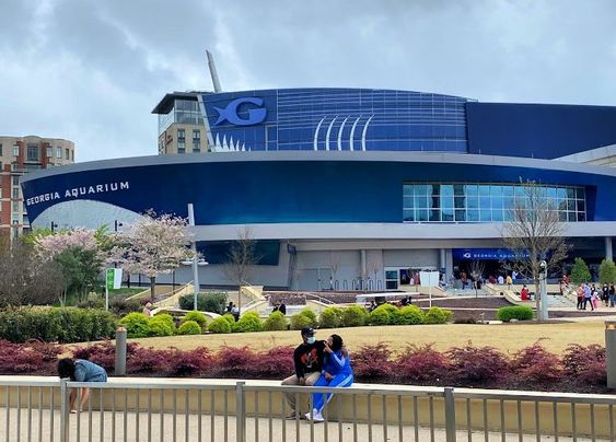 Georgia Aquarium