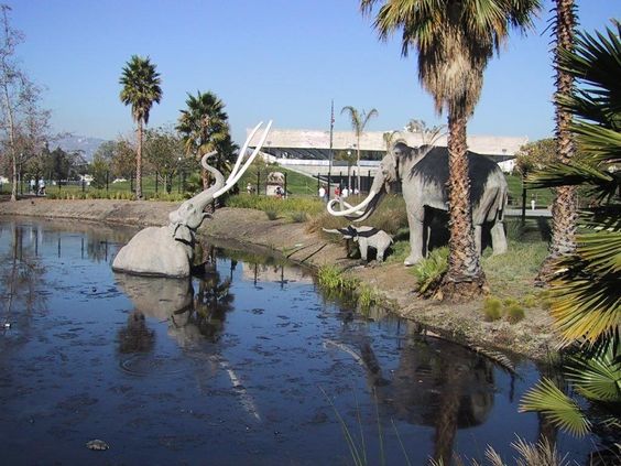 La Brea Tar Pits