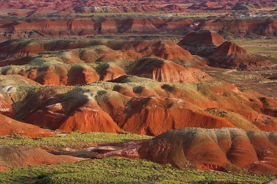 Petrified Forest National Park