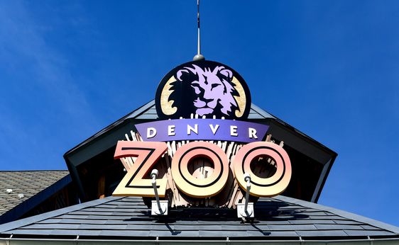 The Denver Zoo