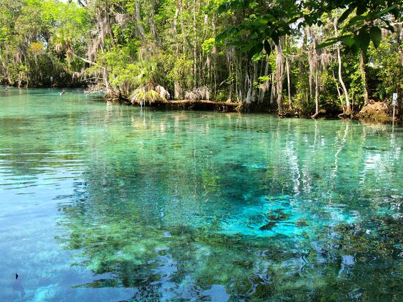 crystal river florida